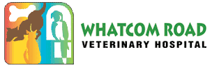 whatcomvet.com