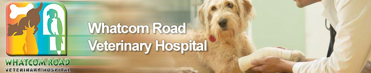 Whatcom Road Veterinary Hospital
